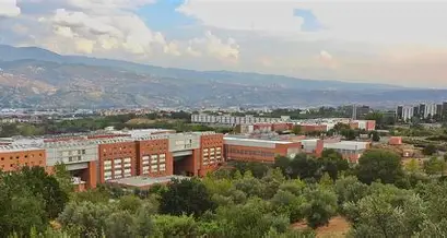 Cairo University, Egypt & University of Calabria