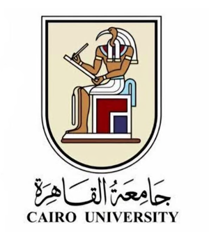 جامعة القاهرة تطلق برنامج 