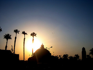 Surprise Tour by Cairo University President at Campus University Faculties