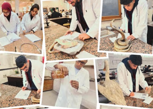 انتظام برامج التدريب العملي لطلاب كلية العلوم بجامعة القاهرة الأهلية بمعامل علم الحيوان والفيزياء والكيمياء بمعامل الكلية بالجامعة الأم.‎