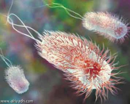 Molecular delection of tthe antibiotic resisitant genes of avian pathogenic Escherichia Coli (APECS)