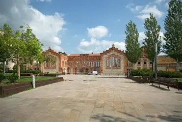 Cairo University, Egypt & University of Rovira i Virgili, Spain</a>