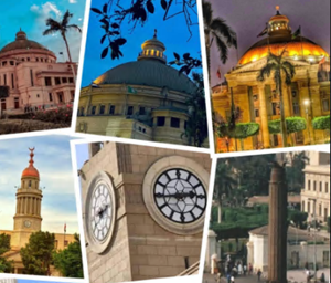 جامعة القاهرة تشكّل لجنة لحصر المكاتب والمعامل والأماكن غير المستغلة لتعظيم كفاءة استخدام الأصول‎